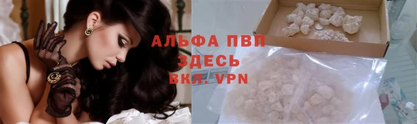 стаф Алексеевка
