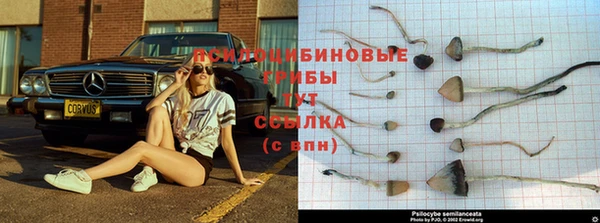 стаф Алексеевка