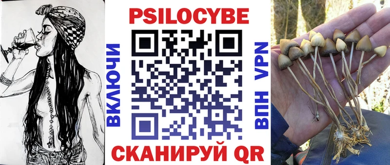 как найти наркотики  Луза  Псилоцибиновые грибы GOLDEN TEACHER 